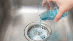 No vinegar and no baking soda: pour half a glass and the drain cleans itself